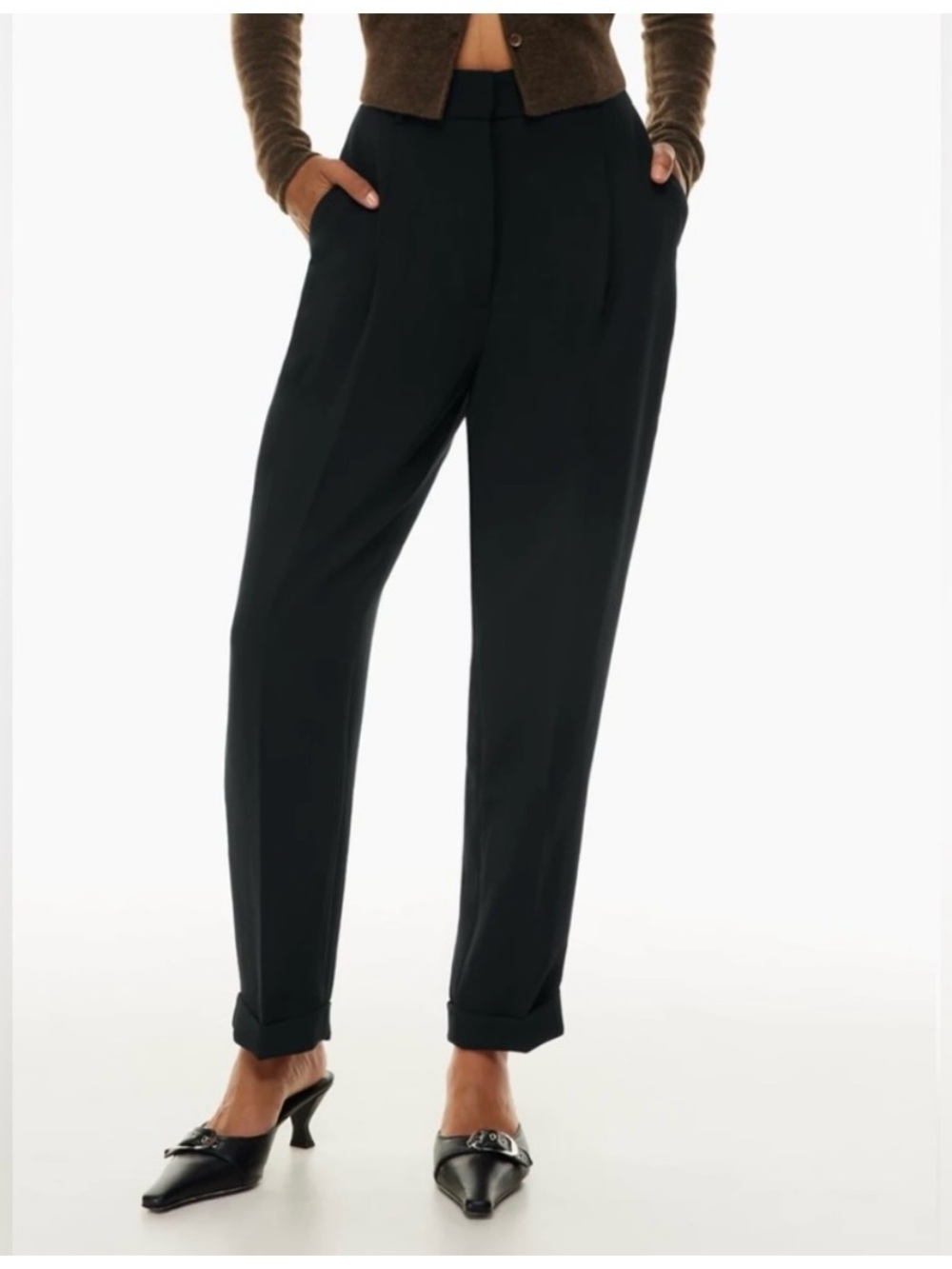 Aritzia Dashwood Pant